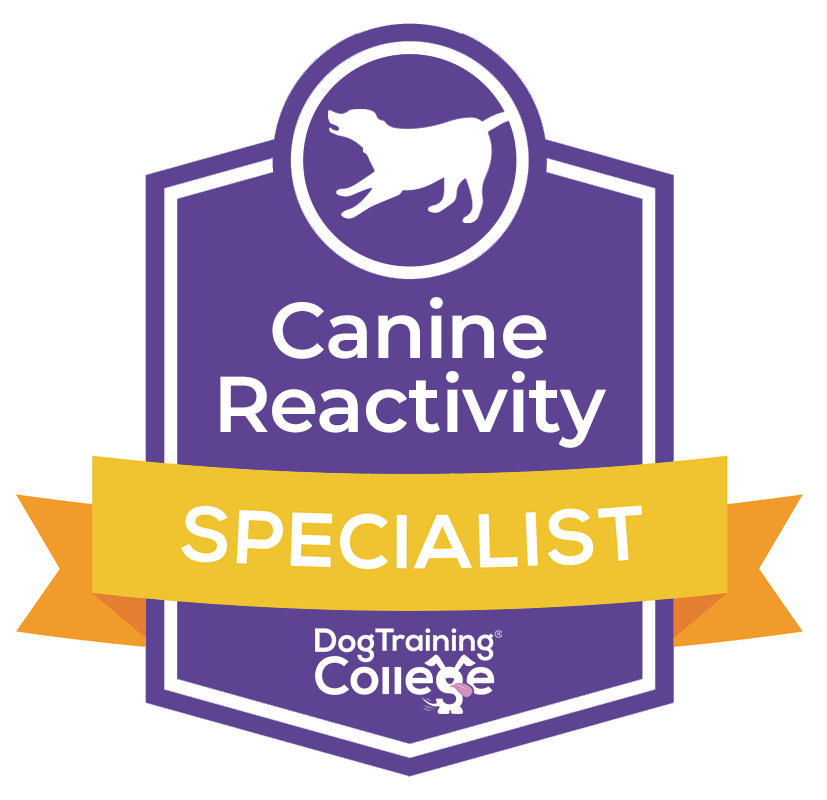 Dog training specialist near hot sale me